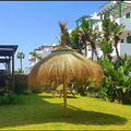 Rieten Parasol Ibiza