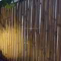 Bamboe en Tuinverlichting