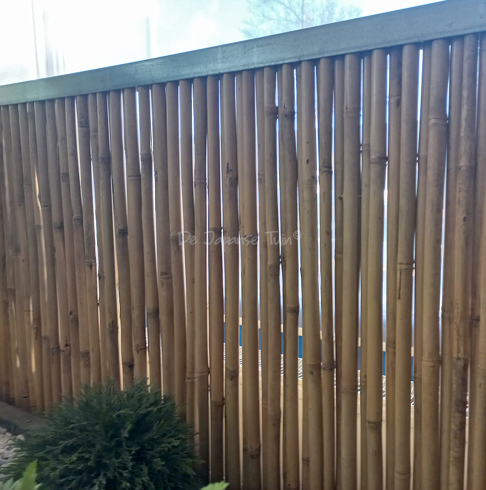 Bamboe Schutting Stalen Frame