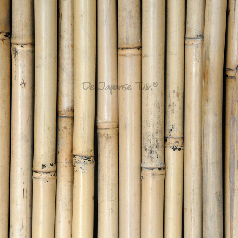 Bamboe Schutting Stalen Frame