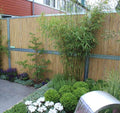 Bamboe Schutting Stalen Frame
