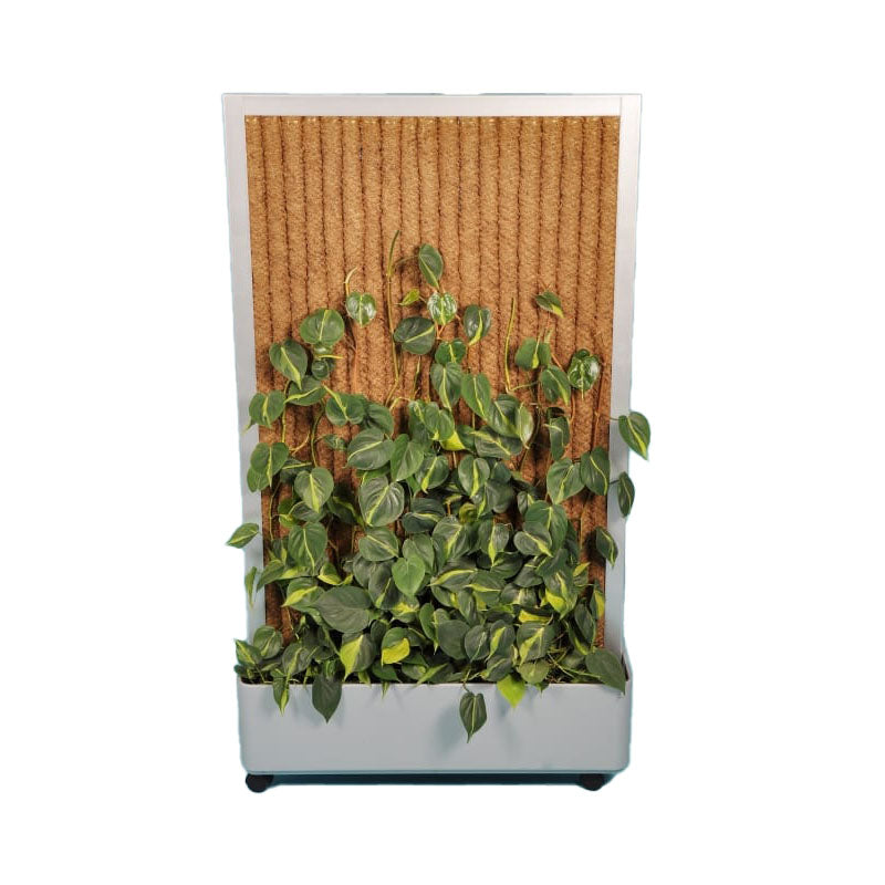 groene wand voor je interieur