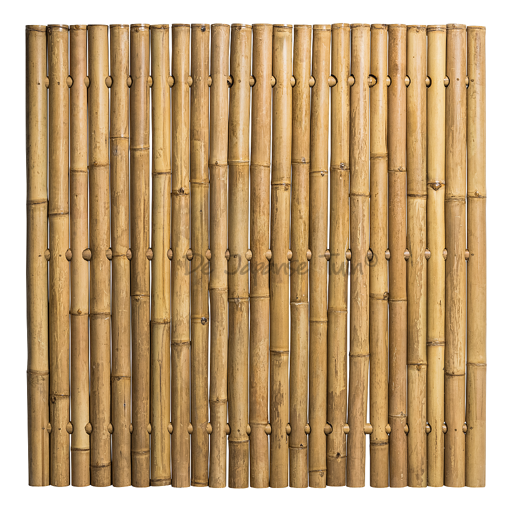 Bamboe Schutting Naturel Jumbo