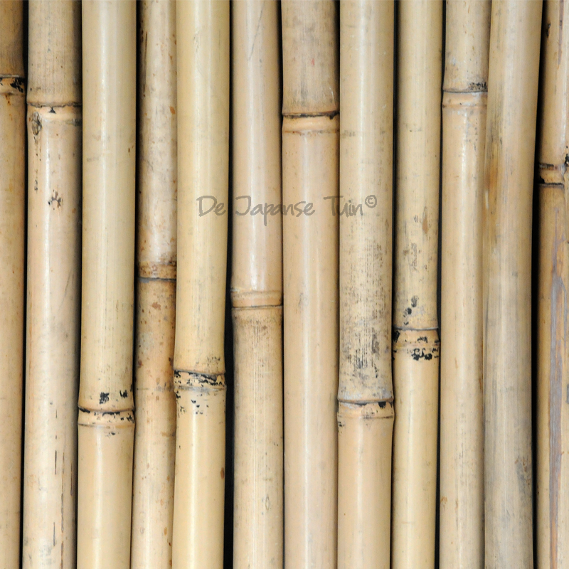 Tuinhek Bamboe met Zwart Frame