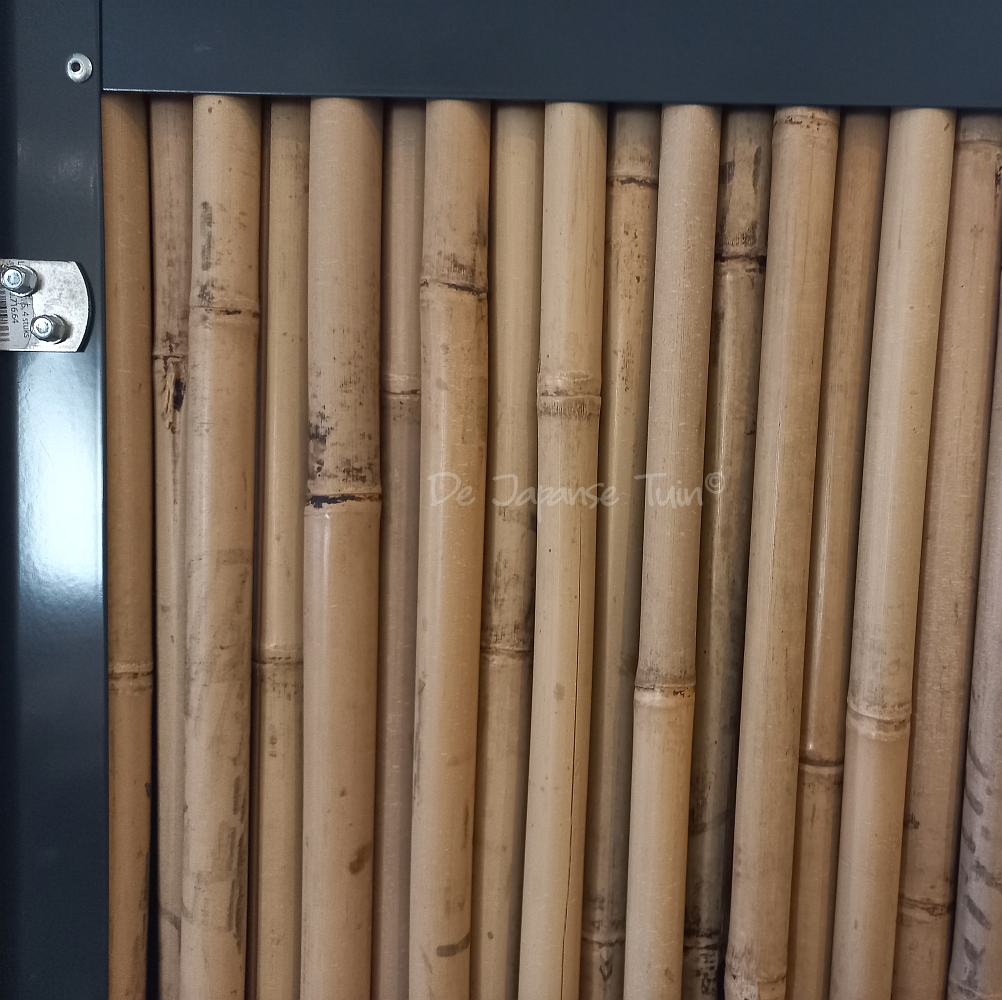 Bamboe schutting met Zwart Frame